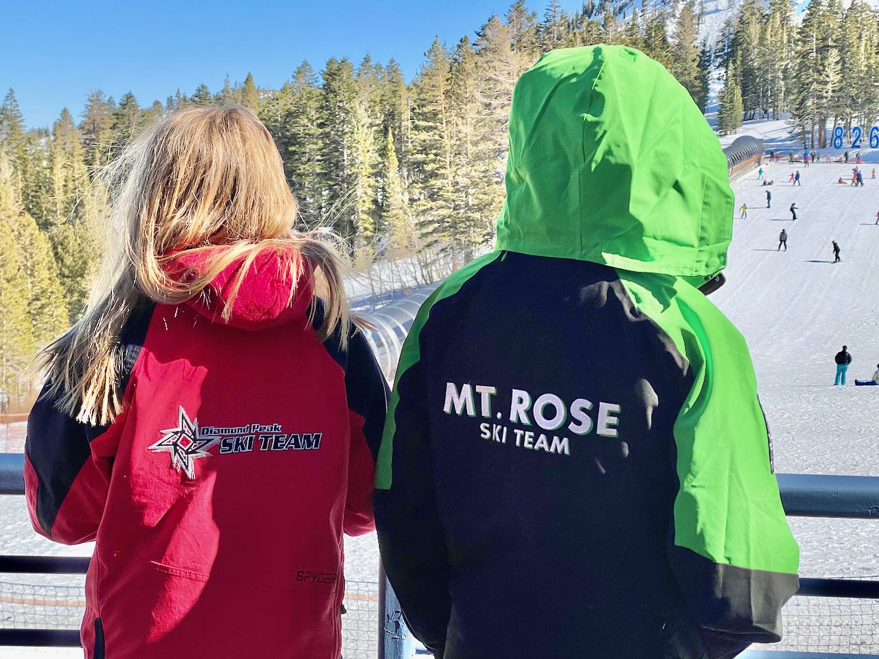ski teams